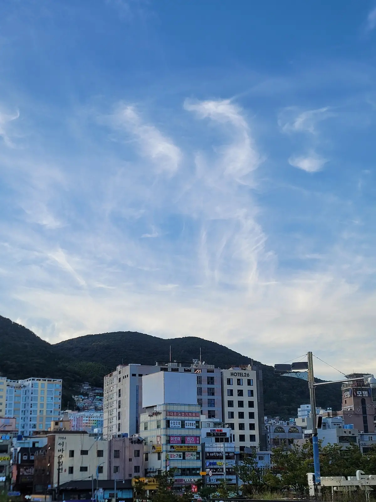2024 추계 고분자학회 5