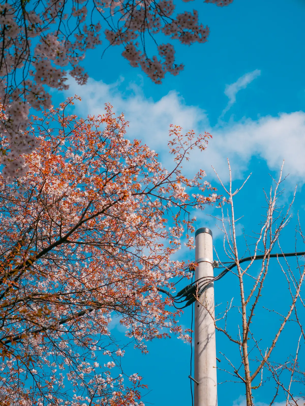 Spring Excursion 2025 3