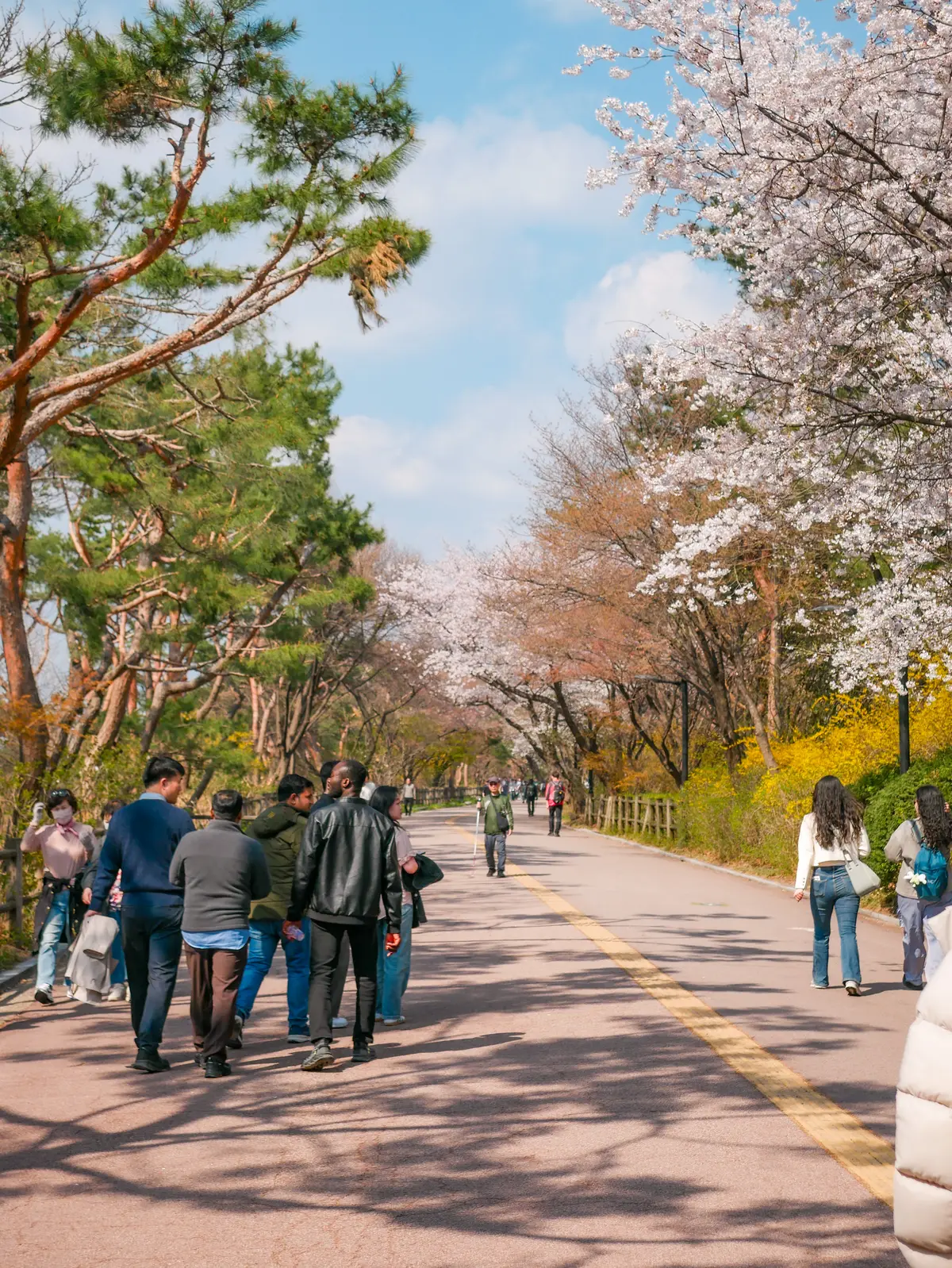Spring Excursion 2025 5