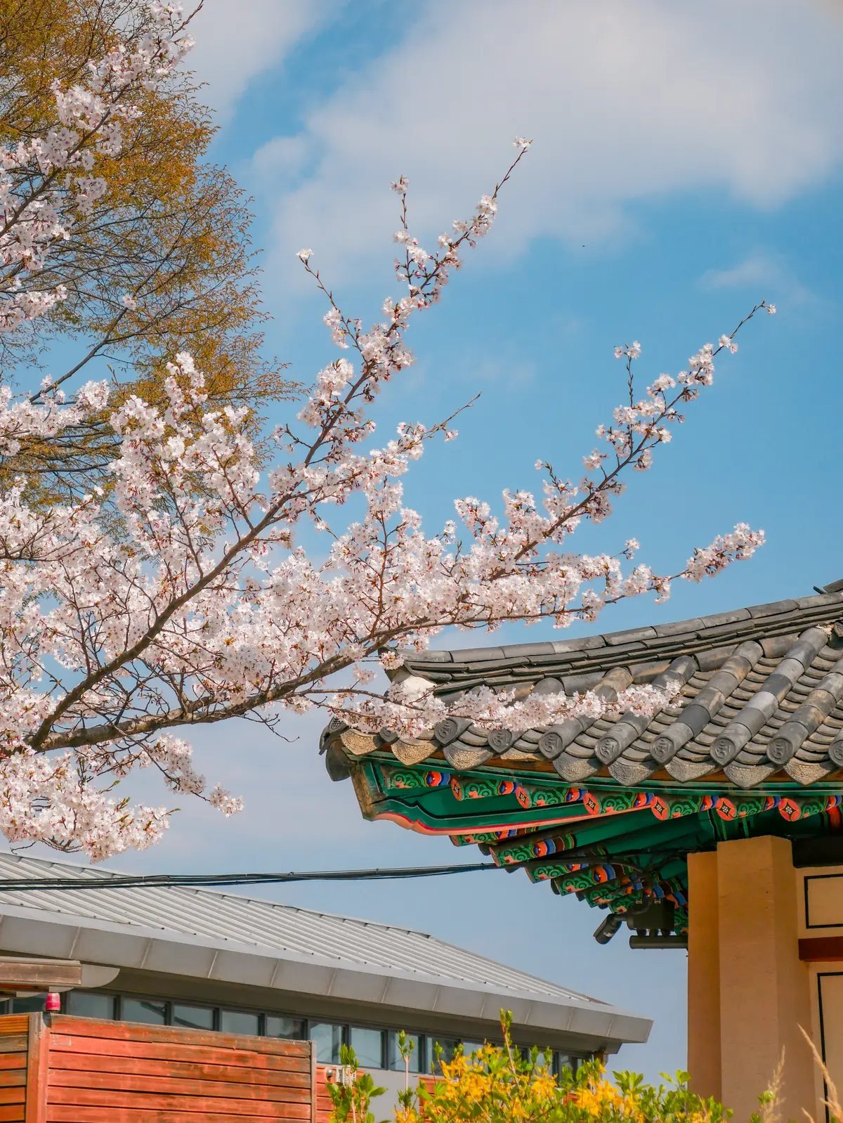 Spring Excursion 2025 8