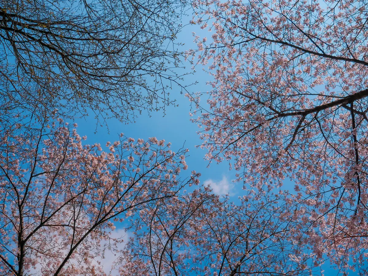 Spring Excursion 2025 14