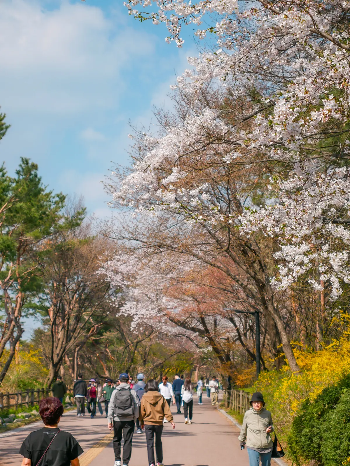 Spring Excursion 2025 15
