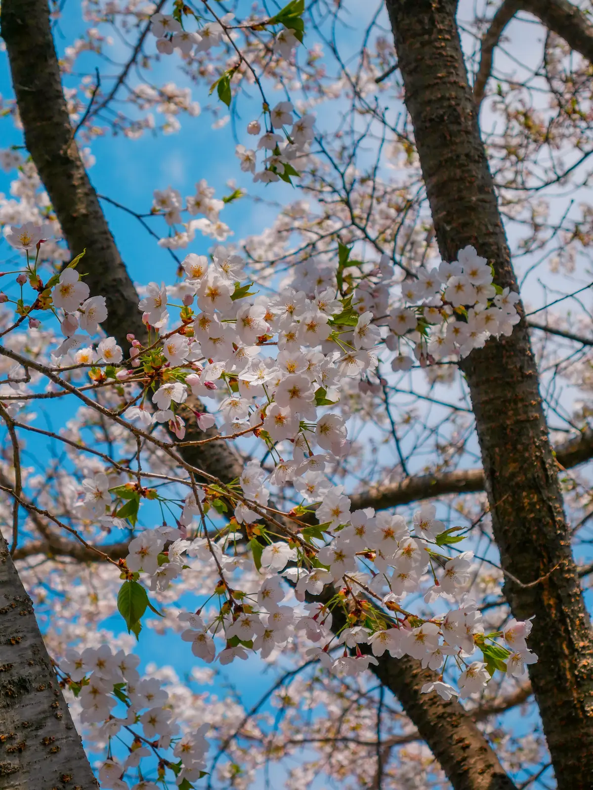 Spring Excursion 2025 17