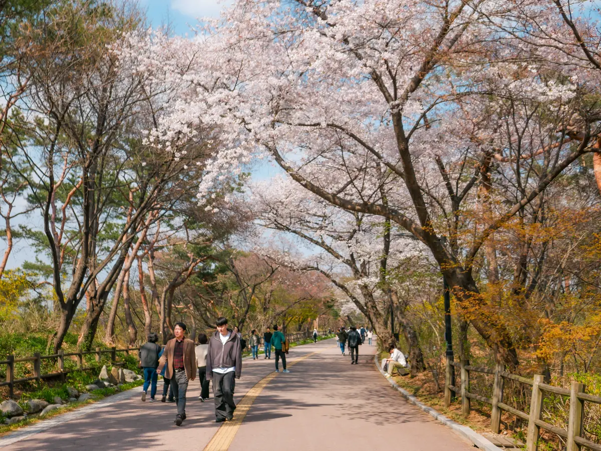 Spring Excursion 2025 20