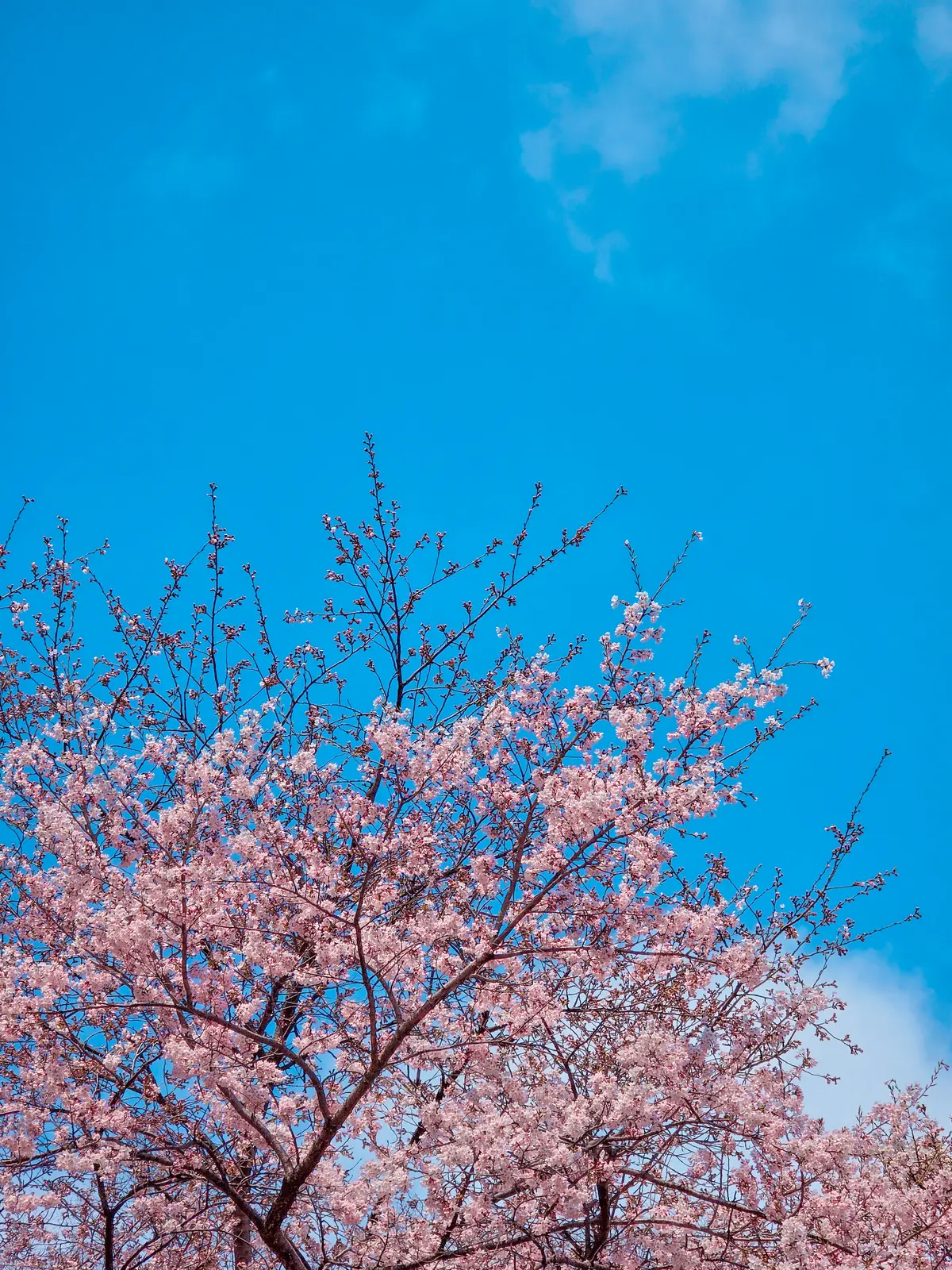 Spring Excursion 2025 22