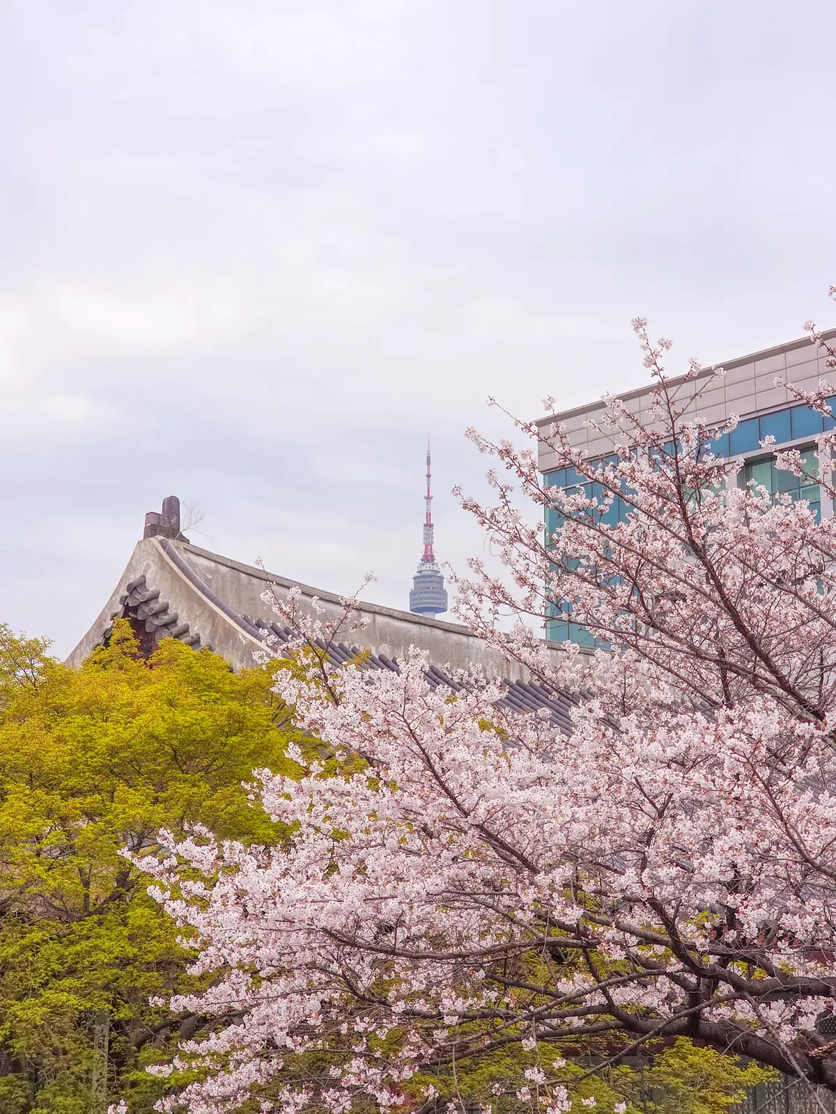 Spring Excursion 2025 24