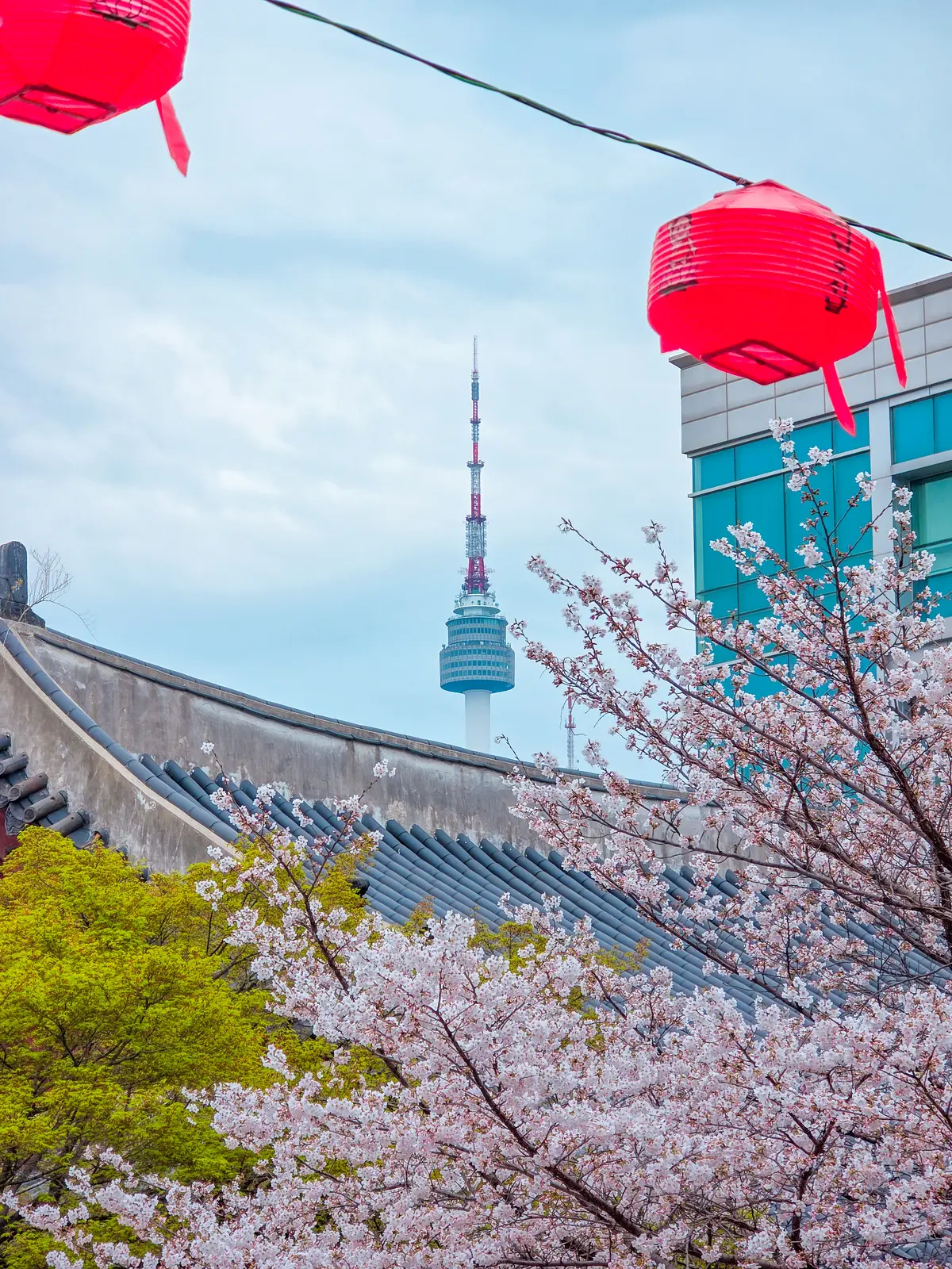 Spring Excursion 2025 25