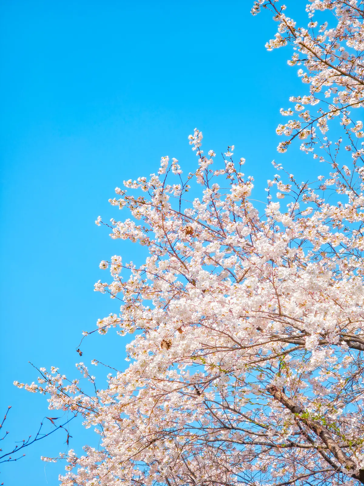 Spring Excursion 2025 27
