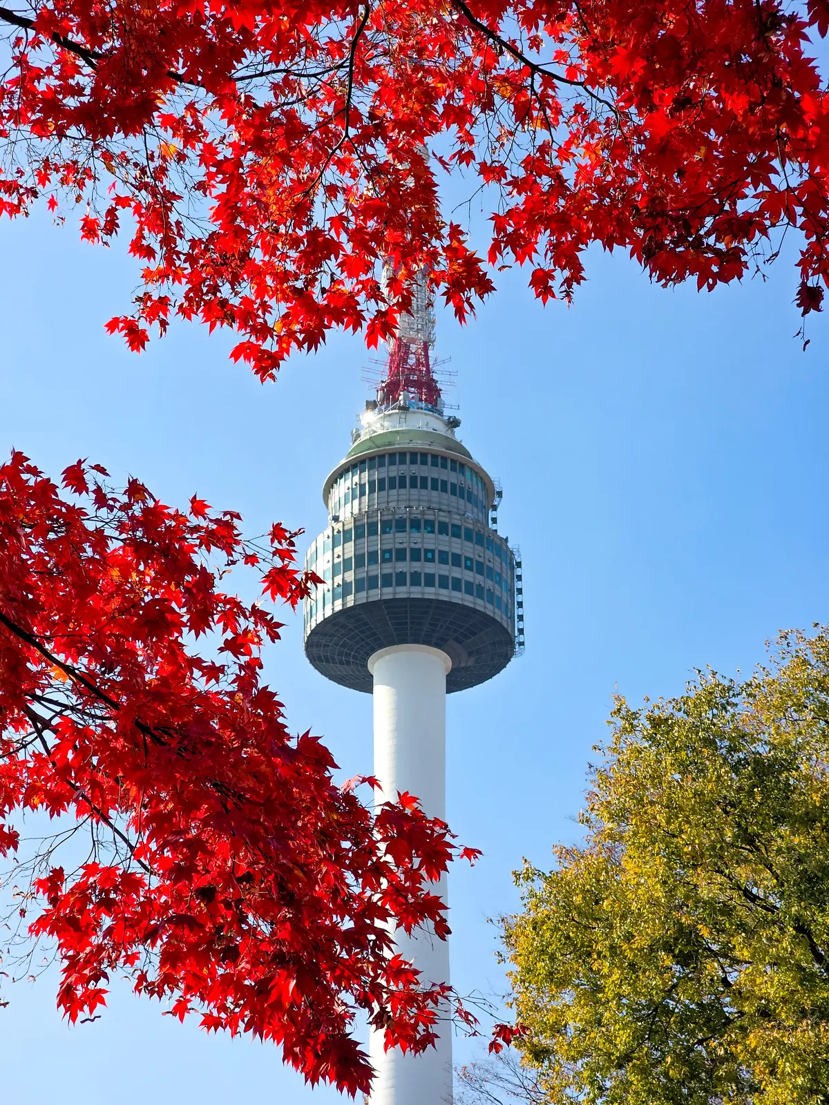 Autumn Excursion 2025 1