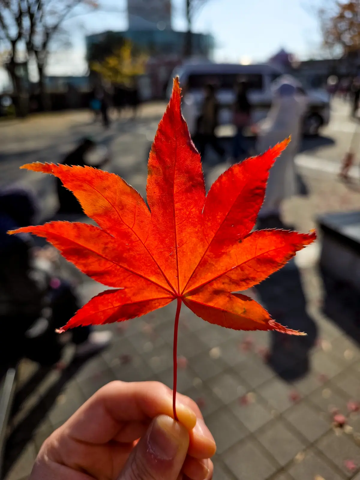 Autumn Excursion 2025 3
