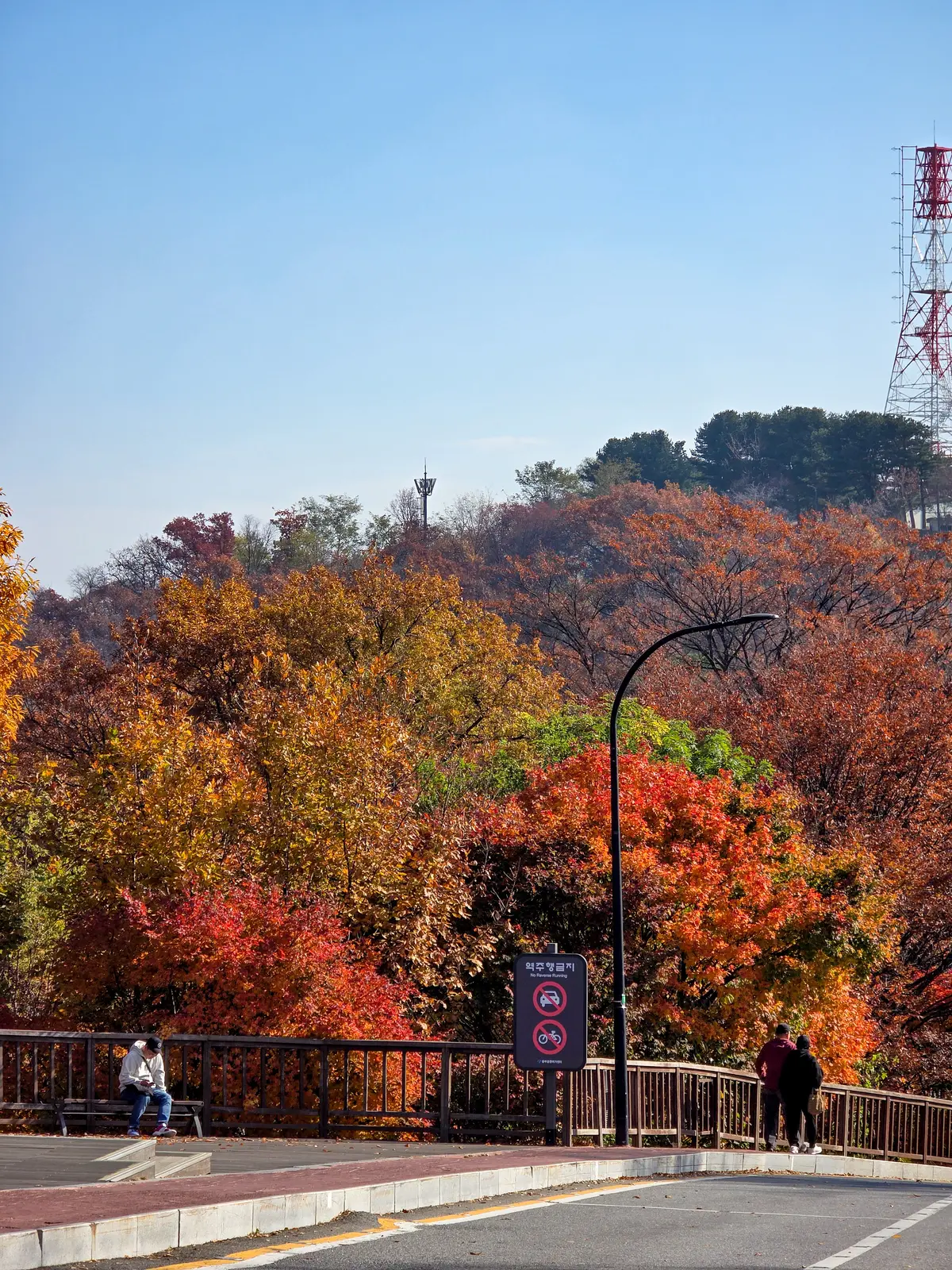 Autumn Excursion 2025 4