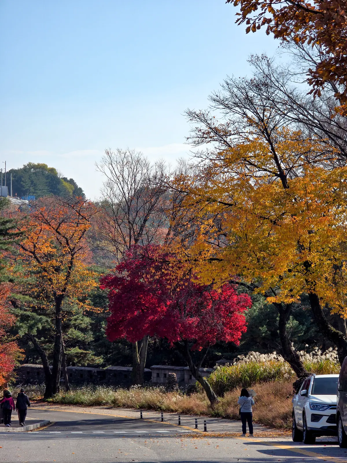 Autumn Excursion 2025 5
