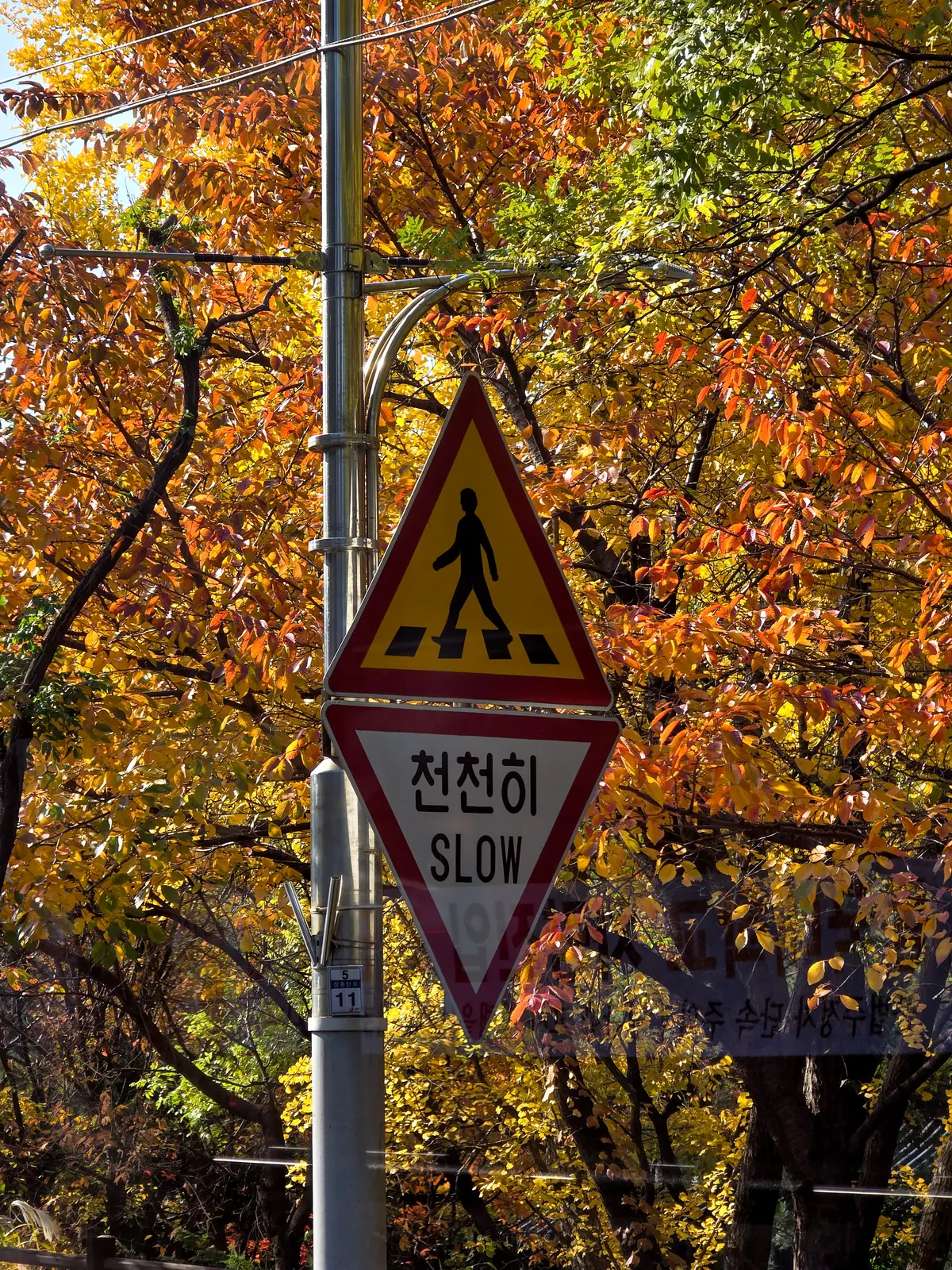Autumn Excursion 2025 6