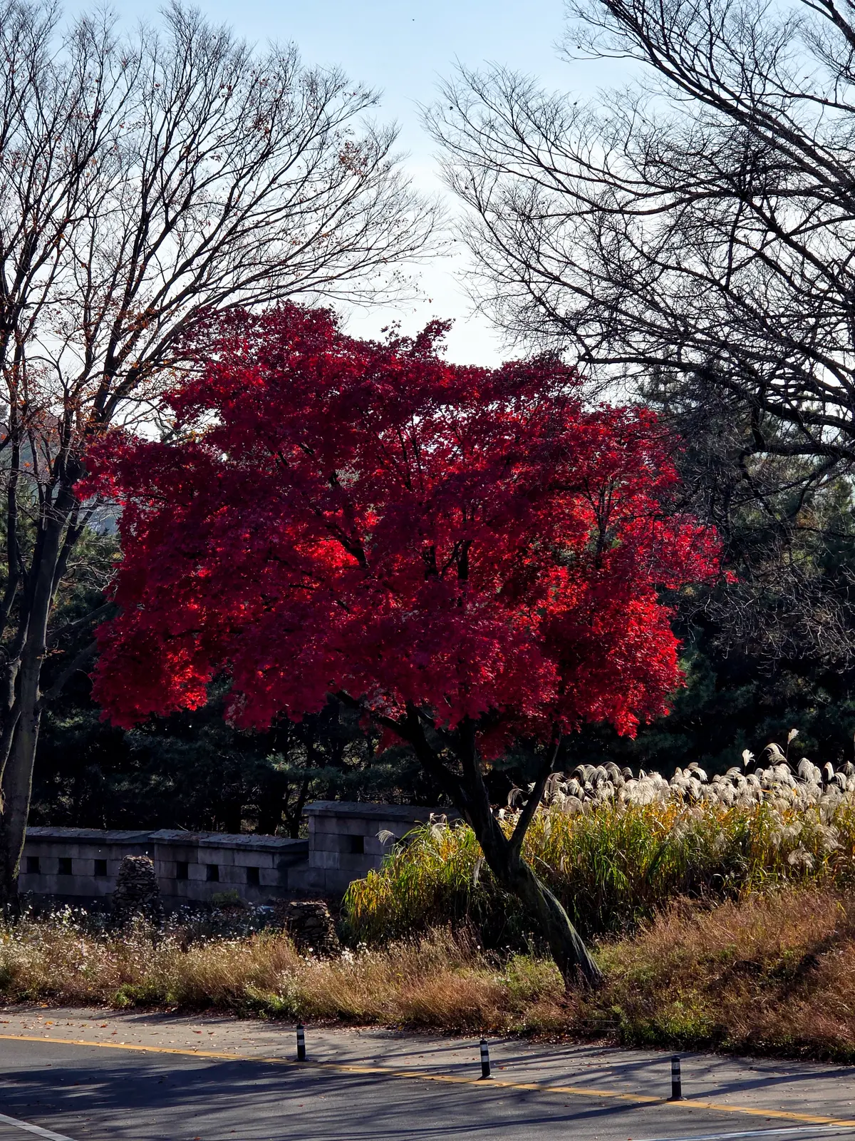 Autumn Excursion 2025 7