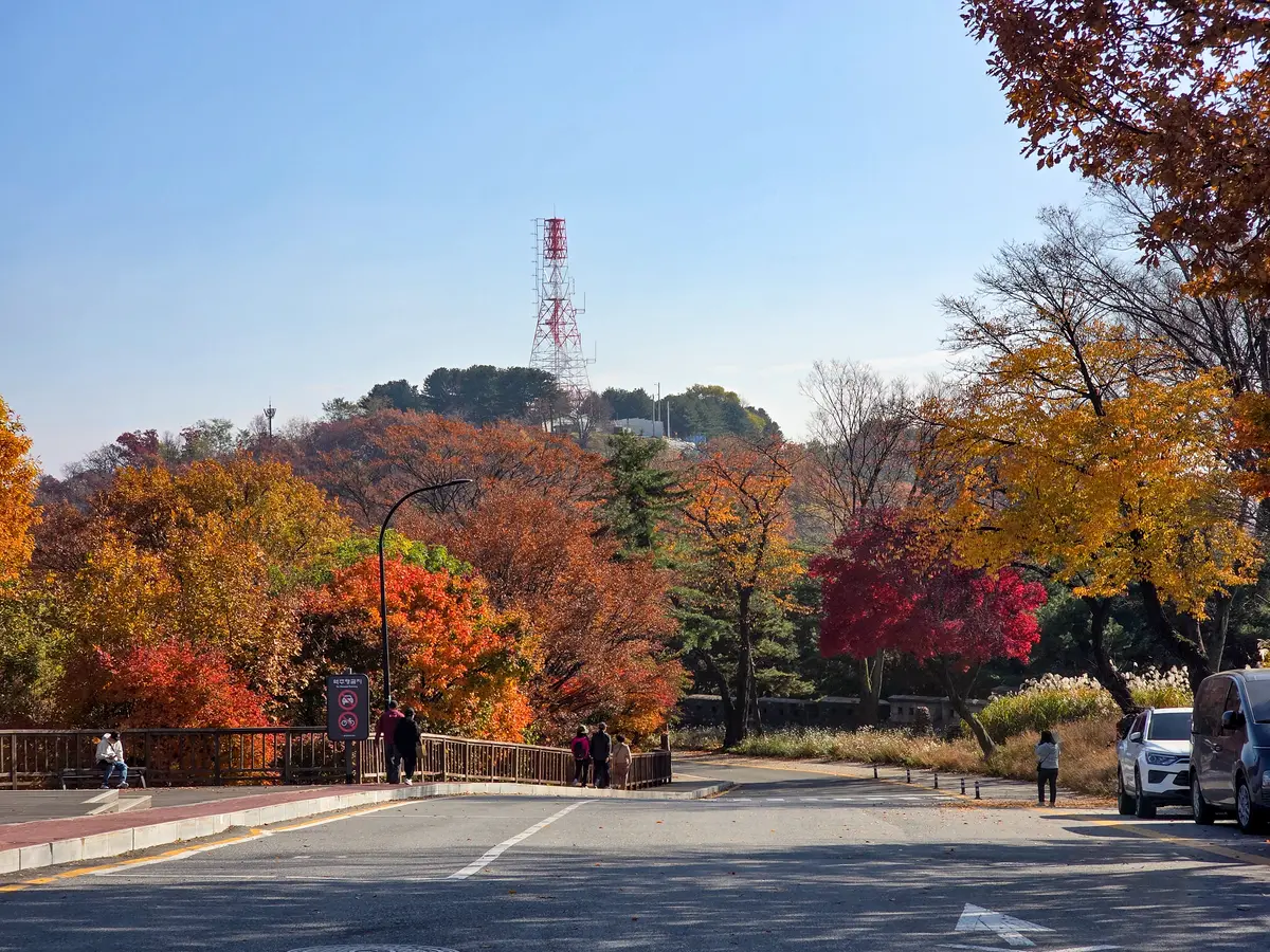 Autumn Excursion 2025 9