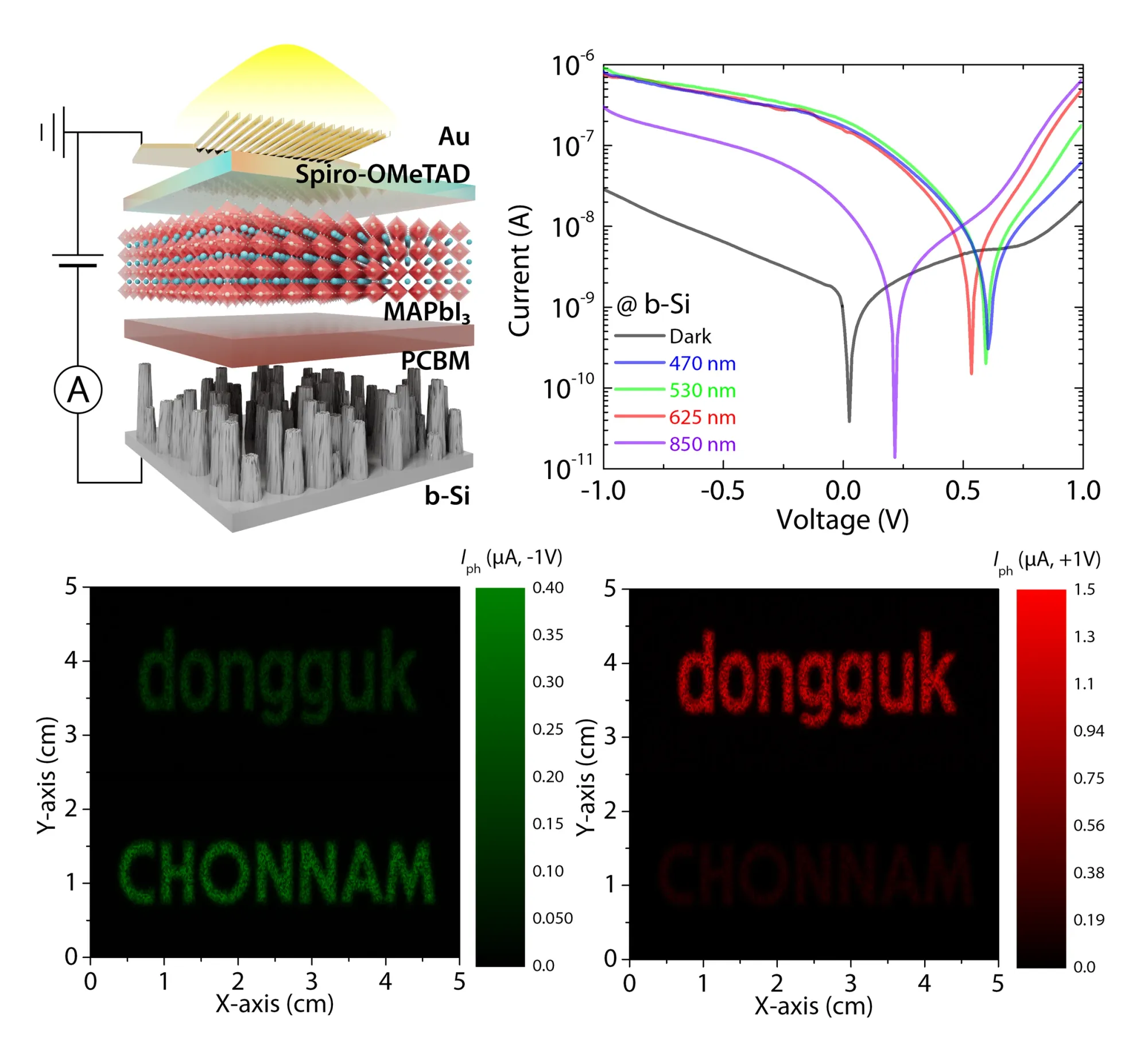 Organic Gas Sensor, Photodetector graphical abstract 4